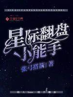 星际反盘小能手