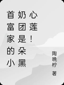 首富家的小奶团是朵黑心莲是什么