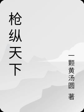 天下枪是什么