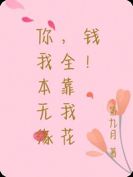 你我本无缘全靠我花钱的