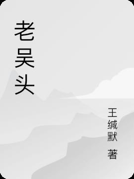 老吴头儿的身份