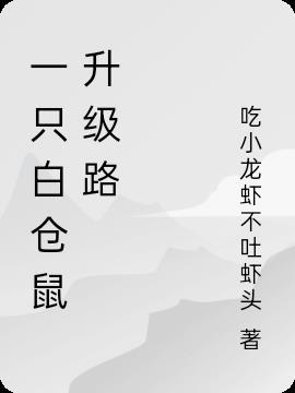 小仓鼠简笔一只白一只黄