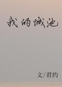 我的城池君约txt