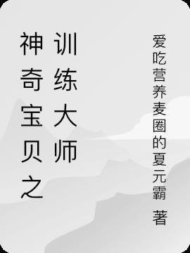 神奇宝贝之华丽大师