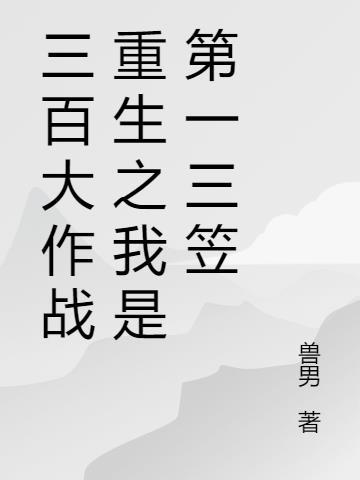 三百大作战有三笠吗