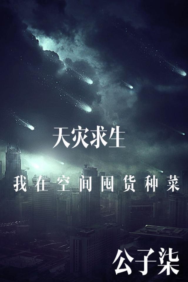 我在空间囤货种菜 第977章