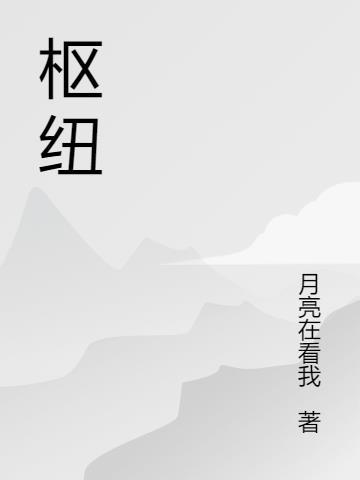 枢纽分析表和数据透视表有什么区别