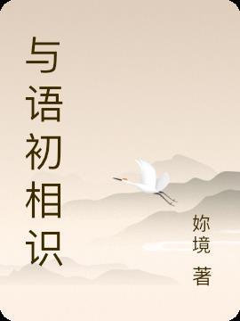 与君初相识 电视剧