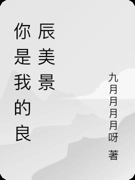 你是我的良辰美景歌曲