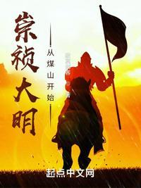 崇祯大明从煤山开始笔趣阁 免费