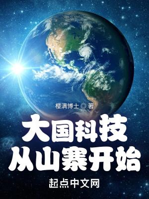 大国科技从山寨开始无防盗