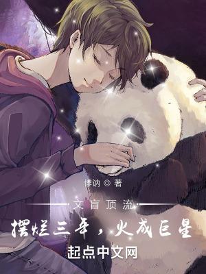 文盲式追星是什么意思