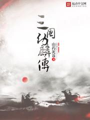 圣三国东吴传