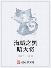 海贼之黑暗大将txt精校版