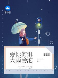 爱你何惧大雨滂沱 半支烟头TXT