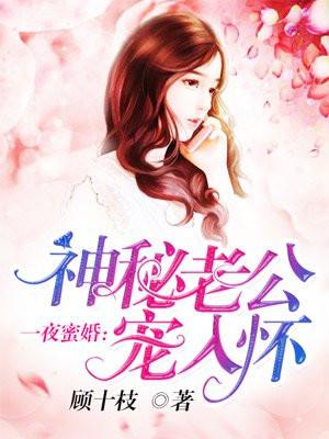 一夜蜜婚神秘老公宠入怀全文免费阅续