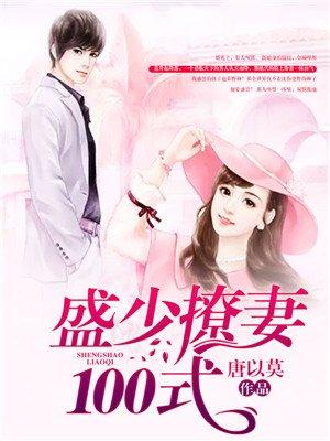 盛少宠妻100式 txt