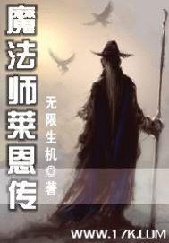 魔法师莱恩传 评价