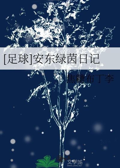 足球安东绿茵日记