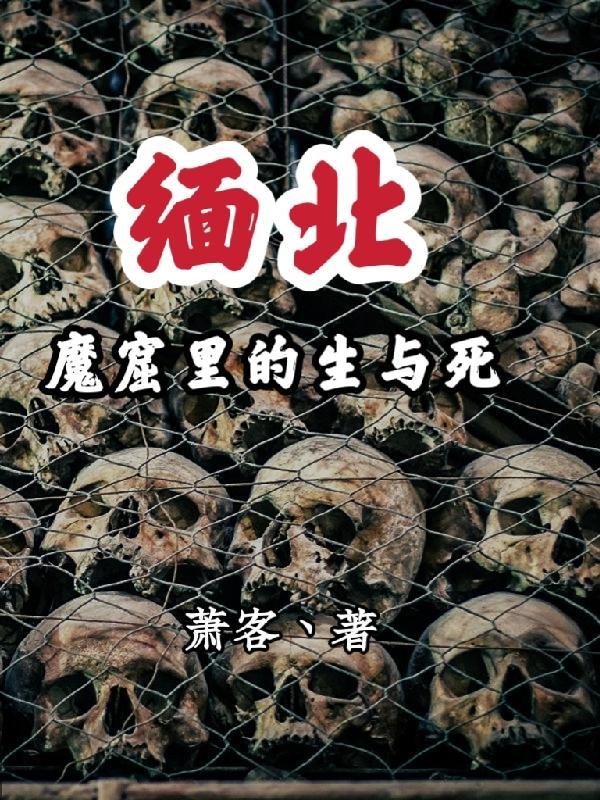 缅北魔窟里的生与死结局是什么