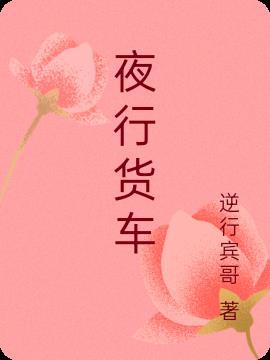 夜行货车林芳兵