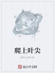 叶片顶端会拖出一条细长的尖尾巴植物学家称它为什么