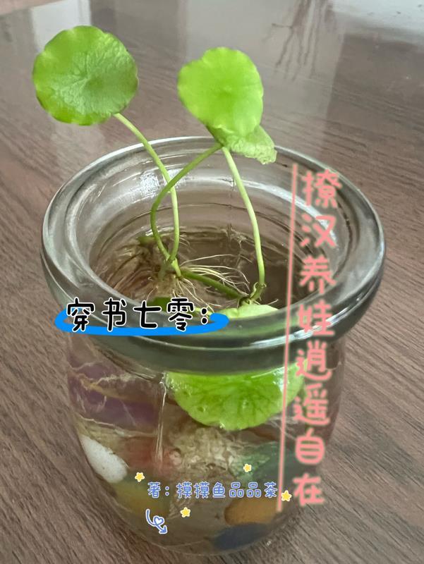 七零穿书福气吗