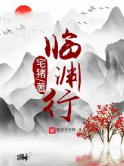 临渊行董医师的身份