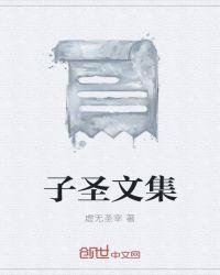 白沙子文集