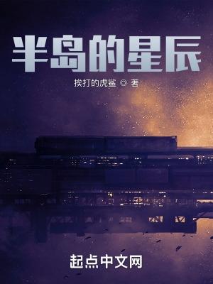 半岛的星辰无防盗