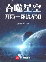 吞噬星空开局一颗流星泪