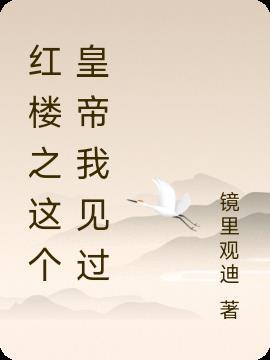 红楼之我是皇子