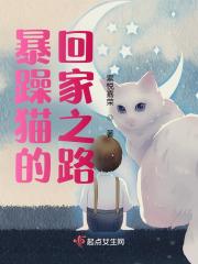 我想看暴躁猫