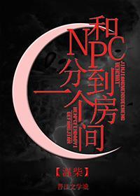 可以跟npc