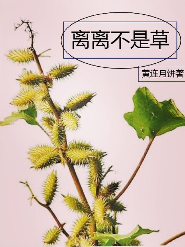 离离草 绿!不仅仅是种颜色