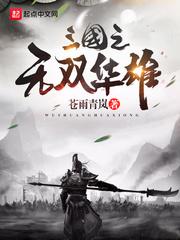 三国无双华雄传