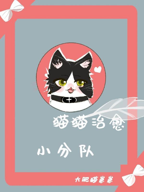 猫猫的治愈瞬间