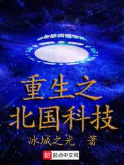 重生之北国科技TXT爱下书