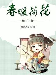 女主叫李荷花的种田文