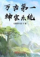 万古第一神宗系统 长隆游乐园