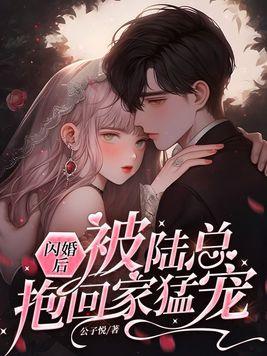 闪婚嫁到陆家