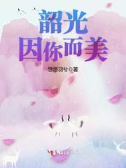 韶光美什么意思