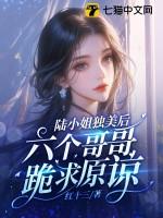 女主是陆四小姐的