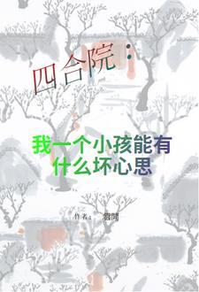 四合院我一个小孩能有什么坏心眼