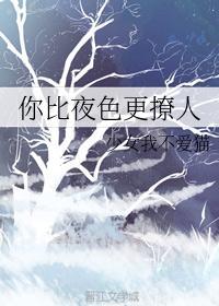 你比夜色更撩人韩霖