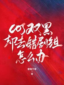 cos双黑穿