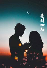 爱情向左婚姻向右电视剧免费观看