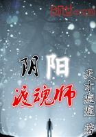 阴阳渡魂师苏染