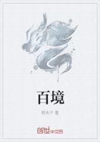 百境战神杨振