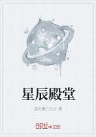 星辰殿殿主叶星辰